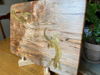 Ambrosia Maple Charcuterie Board with Gecko Inlay | Handmade Wood Art