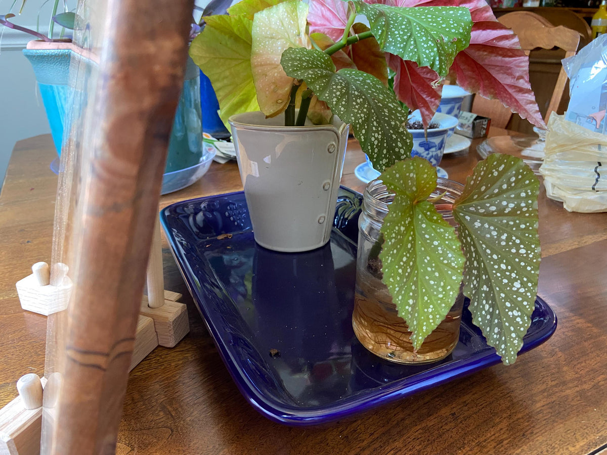Series #01 | Ambrosia Maple Charcuterie Board with Unique Flower Scroll Resin Inlay | Handmade Serving Board